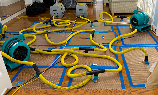 Professional Water Damage Restoration technician working in Kipling, OH